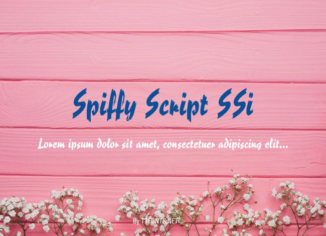 Spiffy Script SSi example